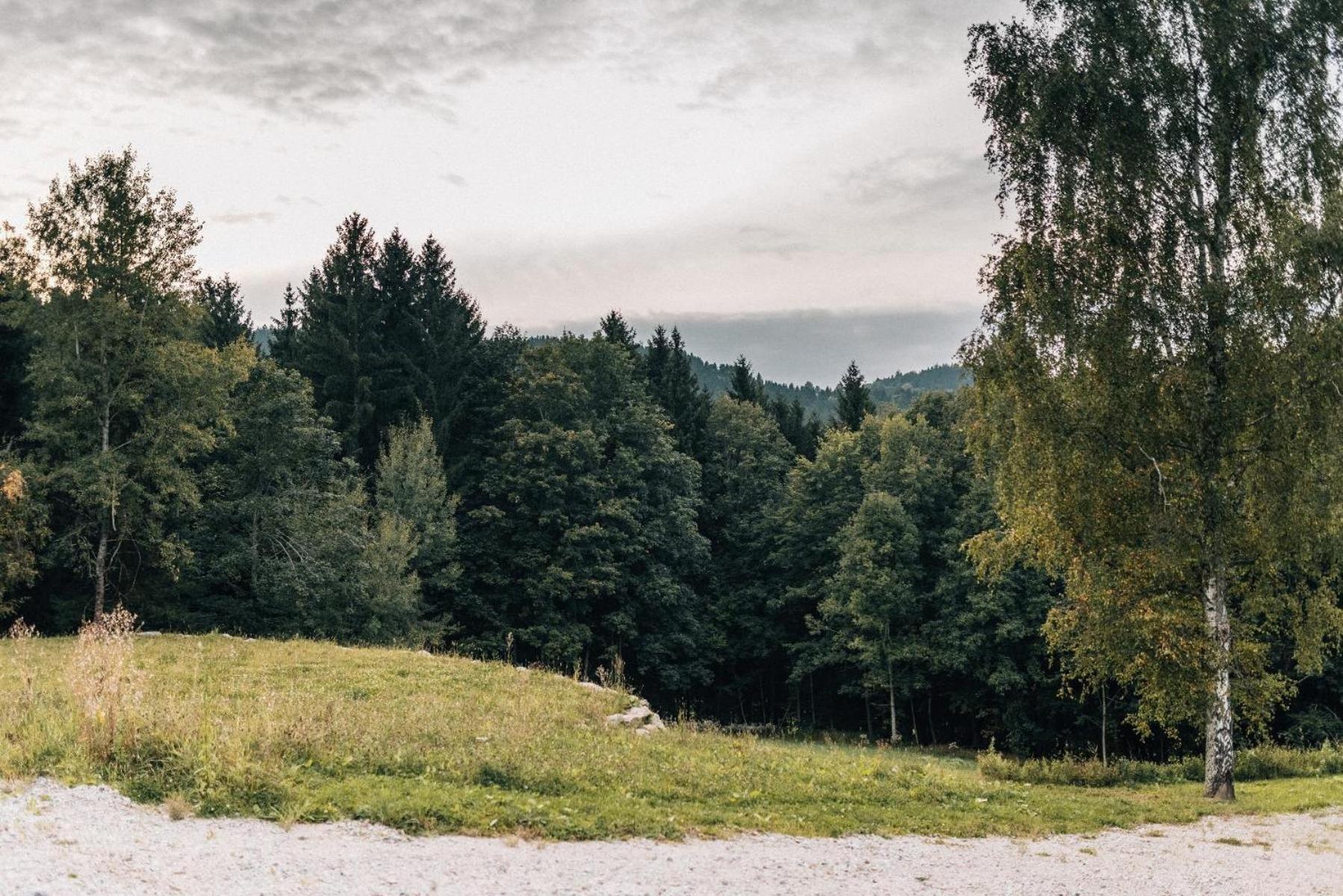 Ferienhaus Woidhaus Kollnburg エクステリア 写真